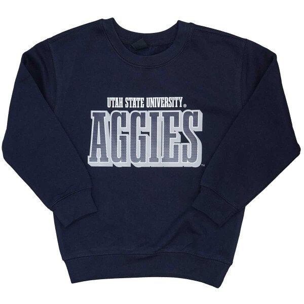 A youth size sweatshirt with the words Utah State University Aggies.